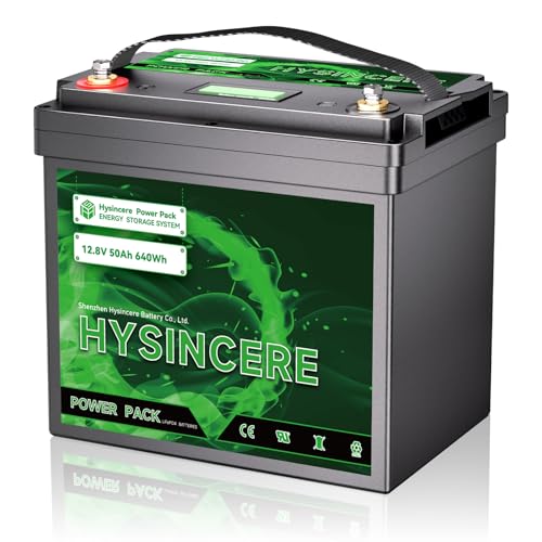 HYSINCERE 12V 50Ah LED LiFePO4 Lithium Batterie mit BMS von HYSINCERE