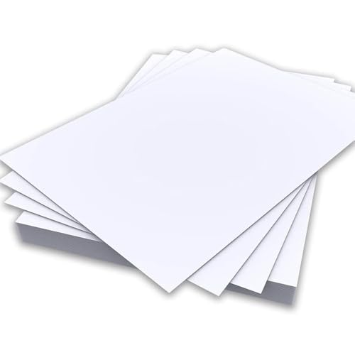 A4 hellgraues Farbpapier, 80 g/m², doppelseitiges Druckerpapier, Kopierer, Origami, Flyer, Zeichnen, Schule, Büro, Druck, 210 mm x 297 mm (A4, hellgraues Papier, 80 g/m², 50 Blatt) von Habercrafts