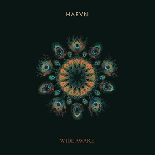 Wide Awake (Gatefold Black Vinyl) [Vinyl LP] von Haevn Music (Edel)
