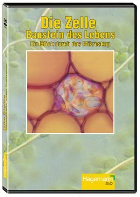 Die Zelle - Baustein des Lebens - DVD - Lehrfilm für Unterricht und Ausbildung - Hagemann 180228 - Einzellizenz von Hagemann