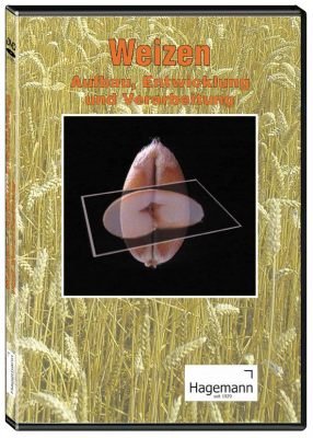 Weizen - Aufbau, Entwicklung, Verarbeitung - DVD - Lehrfilm für Unterricht und Ausbildung - Hagemann 180229 - Einzellizenz von Hagemann