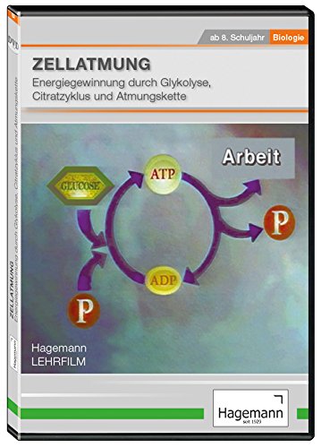 Zellatmung - Energiegewinnung durch Glykolyse, Citratzyklus und Atmungskette - DVD - Lehrfilm für Unterricht und Ausbildung - Hagemann 180231 - Einzel- und Schullizenz von Hagemann