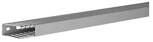 Hager DNG5002007030B Verdrahtungskanal (L x B x H) 2m x 20mm x 50mm 2m Grau von Hager