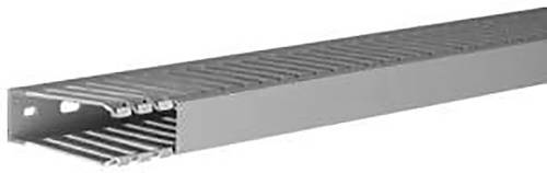 Hager DNG7502507030B Verdrahtungskanal (L x B x H) 2m x 25mm x 75mm 2m Grau von Hager