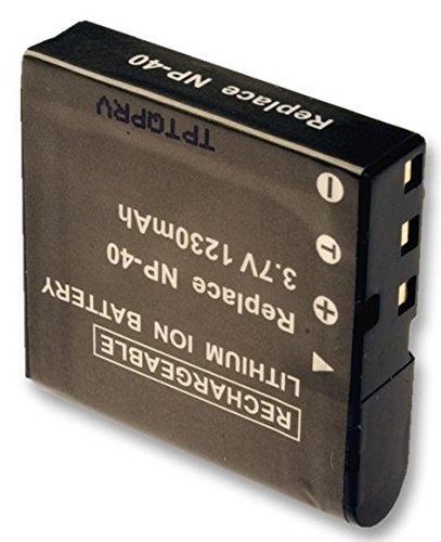 Hahnel HL-CA40 für Casio Digitalkamera, Lithium-Ionen-Akku, 1200 mAh, 3,7 V von Hahnel