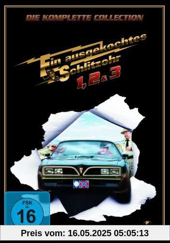 Ein ausgekochtes Schlitzohr 1-3 [2 DVDs] von Hal Needham