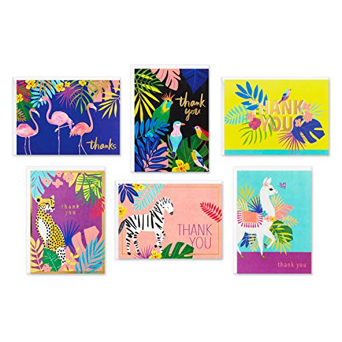 Hallmark Dankeskarten-Sortiment, tropische Tiere (24 verschiedene Dankeskarten mit Umschlägen – Geparden, Lamas, Zebras, Flamingos, Vögel) von Hallmark