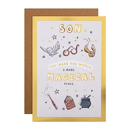 Hallmark Geburtstagskarte für Sohn - Harry Potter Illustrationen und Aktivität von Hallmark