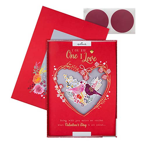 Hallmark Luxuriöse Valentinstagskarte für einen I Love – klassisches Vogel- und Herz-Design mit Geschenkbox, Rot, Blau Hallmark Luxuriöse Valentinstagskarte für einen I Love – klassisches Vogel- und Herz-Design mit Geschenkbox, Rot, Blau von Hallmark