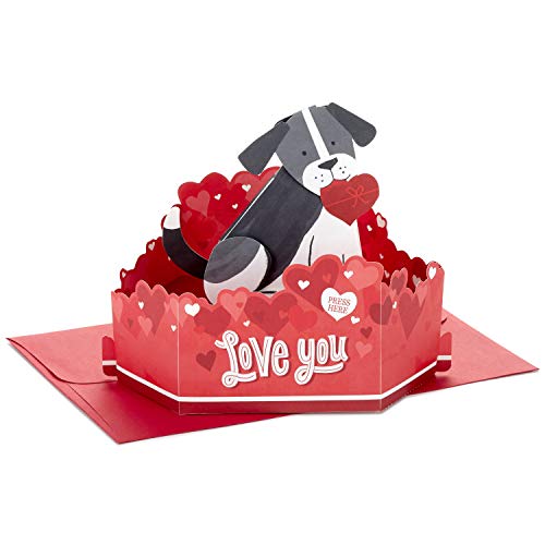 Hallmark Paper Wonder Pop Up Valentinstagskarte mit Ton und Bewegung (Hund) von Hallmark