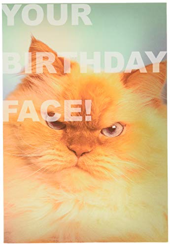 Hallmark Shoebox Collection Geburtstagskarte – lustiges Foto-Design mit wütender Katze von Hallmark