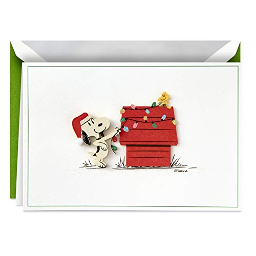 Hallmark Signature Peanuts Weihnachtskarten, Snoopy Weihnachtsbeleuchtung (10 Karten mit Umschlägen) von Hallmark