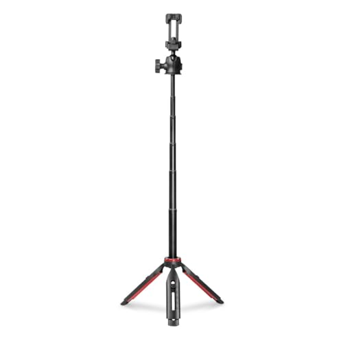 Hama Handy Stativ mit Handyhalterung (Ministativ höhenverstellbar max. 80 cm, min 22 cm, 2in1 Kamerastativ und Stativ für Smartphone, leichtes Reisestativ aus Aluminium mit Kugelkopf und Fernauslöser) Hama Handy Stativ mit Handyhalterung (Ministativ höhenverstellbar max. 80 cm, min 22 cm, 2in1 Kamerastativ und Stativ für Smartphone, leichtes Reisestativ aus Aluminium mit Kugelkopf und Fernauslöser) von Hama