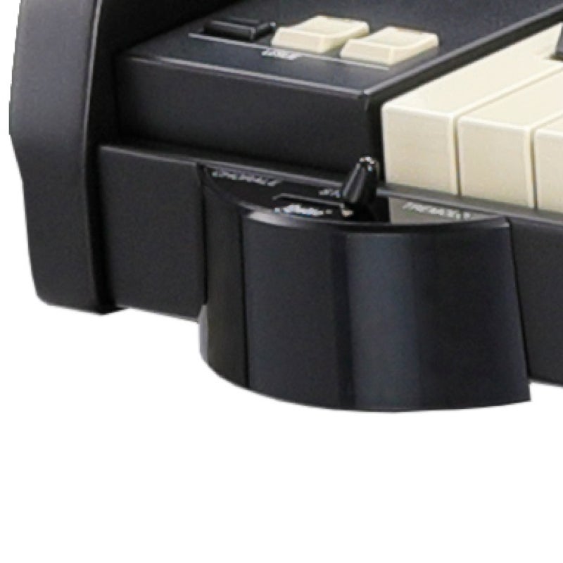 Hammond CU-1 Black Leslie Switch Hammond CU-1 Black Leslie Switch von Hammond