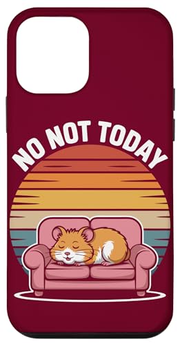 Fauler Hamster schläft auf der Couch Hamster Hülle für iPhone 12 mini Fauler Hamster schläft auf der Couch Hamster Hülle für iPhone 12 mini von Hamster Lover Gifts & Tees