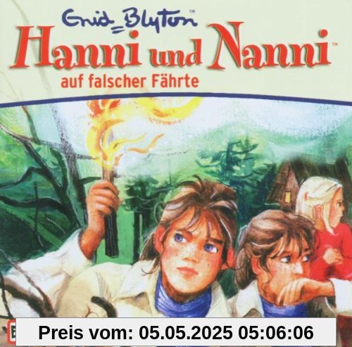 25/auf Falscher Fährte von Hanni und Nanni