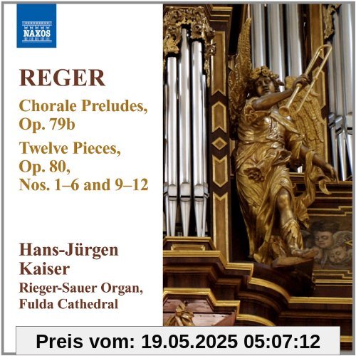 Reger: Orgelwerke Vol.11 von Hans-Jürgen Kaiser