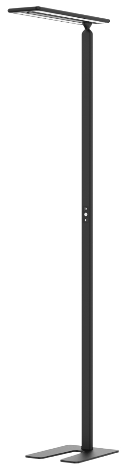 Hansa LED-Stehleuchte , Larimar, , Höhe: 1.997 mm, schwarz Hansa LED-Stehleuchte , Larimar, , Höhe: 1.997 mm, schwarz von Hansa