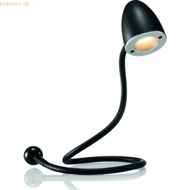 Hansa LED-USB-Leuchte Snake 1,5 W ABS/Metall schwarz satiniert Hansa LED-USB-Leuchte Snake 1,5 W ABS/Metall schwarz satiniert von Hansa