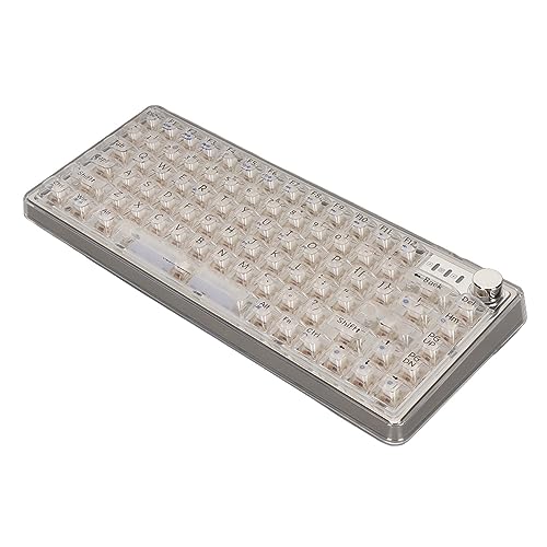 Haofy Dichtungsmontierte Mechanische Tastatur, RGB-Beleuchtung, 2000 MAh Akku BT5.0 2,4 GHz Typ C, Transparente Mechanische Tastatur, Hot-Swap-fähig mit Knopf für PC für (Weiß) von Haofy