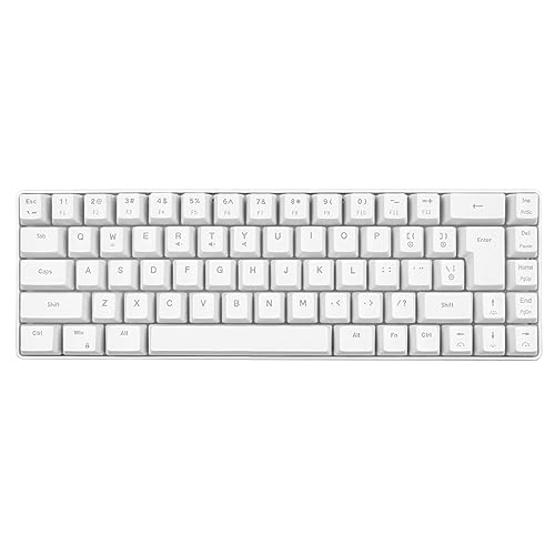 Haofy V200 Mechanische Tastatur, Kompakte Ergonomische Tastatur mit RGB-Hintergrundbeleuchtung für den Desktop (Weiß) von Haofy