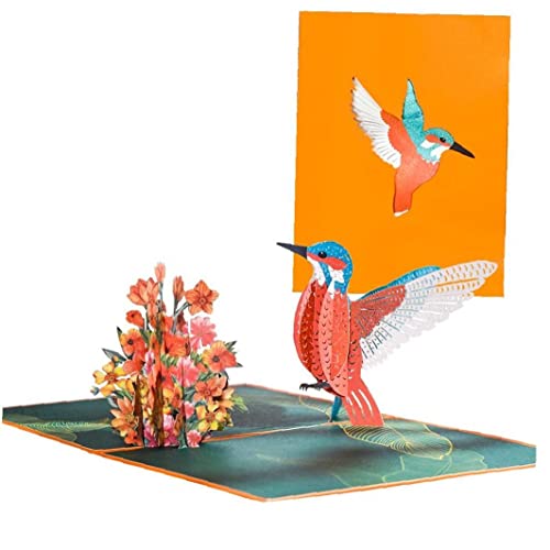 Haowul 3d -up -kolibri -geburtstagskarte Umschlag Animal Grußkarten Handgefertigtes Geschenk Des Geschenks Für Frau Frauen Haowul 3d -up -kolibri -geburtstagskarte Umschlag Animal Grußkarten Handgefertigtes Geschenk Des Geschenks Für Frau Frauen von Haowul
