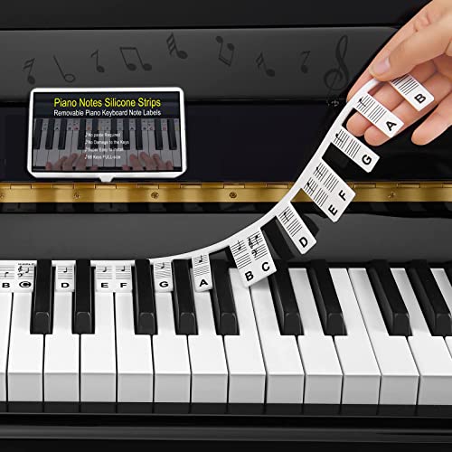 Piano Notes Guide for Beginner, Removable Piano Keyboard Note Labels for Learning, 88-Key Full Size, Made of Silicone, No Need Stickers, Reusable and Comes with Box(Classic Black) von Hapoyxm