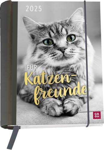 Für Katzenfreunde - Buchkalender A6 - Kalender 2025 - Groh-Verlag - Doppelseite pro Woche - Taschenkalender mit Lesebändchen und Postkarten - 12 cm x 15,5 cm von Harenberg