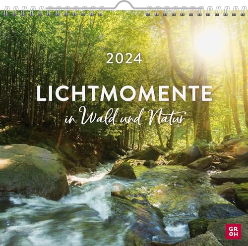 Harenberg Lichtmomente in Wald und Natur - Kalender 2024 - Monatskalender - Groh-Verlag - Wandkalender mit wunderschönen Natur-Fotos und Zitaten - 21 cm x 21,3 cm von Harenberg