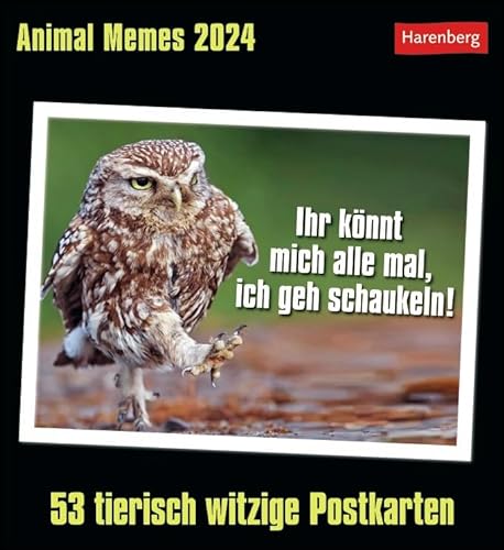 Postkartenkalender Animal Memes - Kalender 2024 - Harenberg-Verlag - Wochenkalender mit 53 heraustrennbaren Postkarten - 16 cm x 17,5 cm von Harenberg
