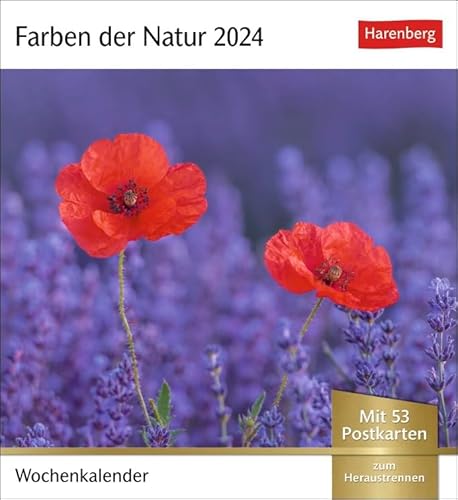 Postkartenkalender Farben der Natur - Kalender 2024 - Harenberg-Verlag - Wochenkalender mit 53 heraustrennbaren Postkarten - 16 cm x 17,5 cm von Harenberg