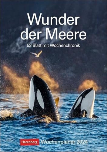 Wunder der Meere Wochenplaner 2024. Ein Wand-Kalender 2024 zum Eintragen und Staunen! Terminkalender mit atemberaubenden Fotos von Meeresbewohnern und Infos zu ihrem Leben: 53 Blatt mit Wochenchronik von Harenberg