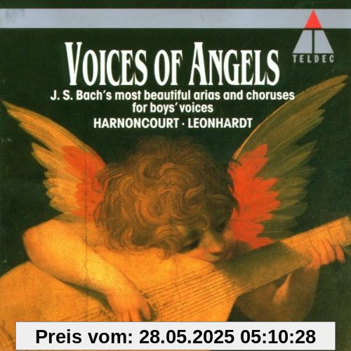 Voices Of Angels (Stimmen der Engel) von Harnoncourt