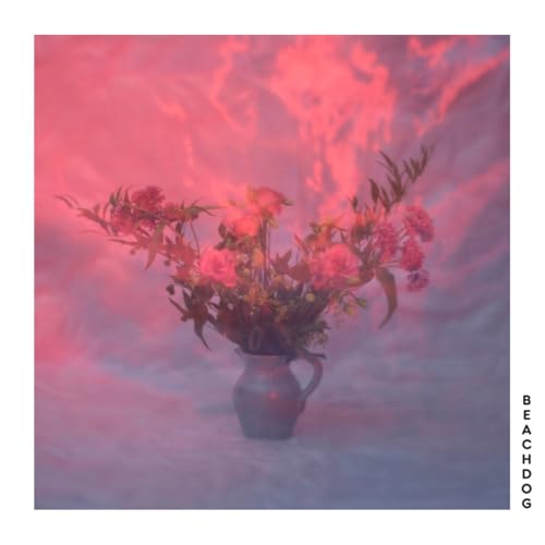 Beachdog von Hart Musik (Major Babies)