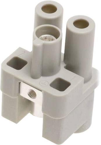 Harting 09 12 002 2751 Buchseneinsatz Han® Q 2 + PE Axialschraubanschluss 1St. von Harting
