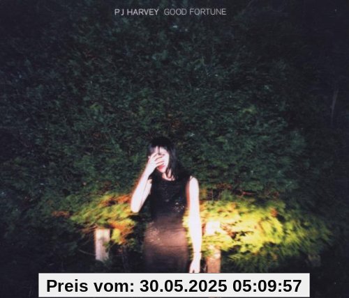 Good Fortune Good Fortune von Harvey, P. J.