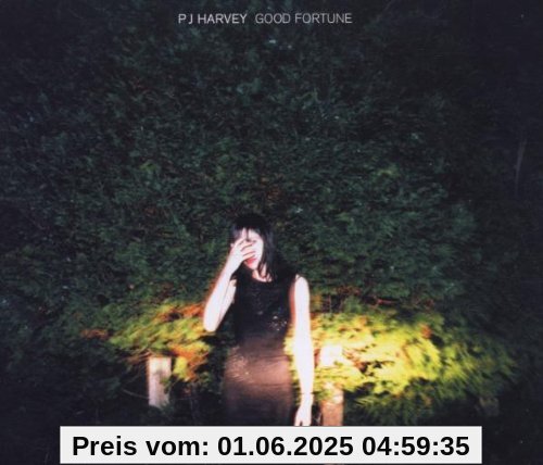 Good Fortune von Harvey, P. J.