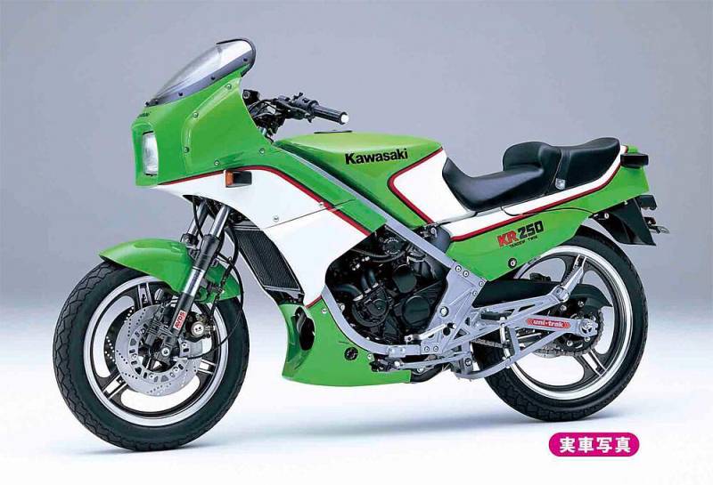Kawasaki KR250 von Hasegawa