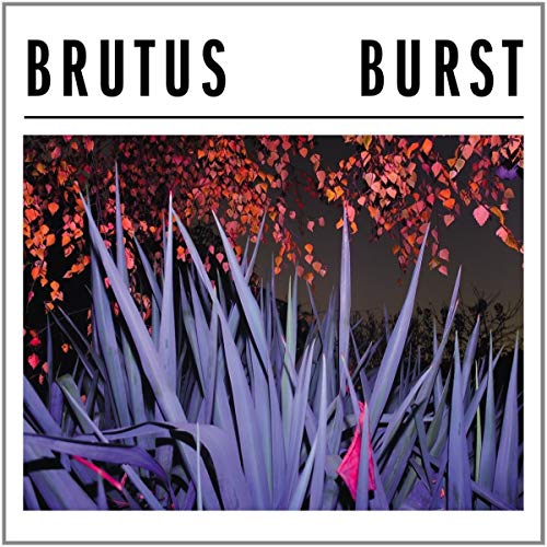 Burst [Vinyl LP] von Hassle Records / Cargo