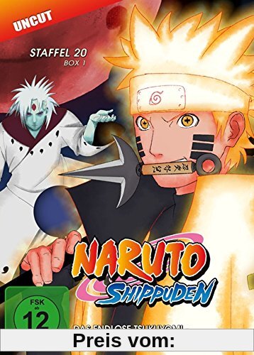 Naruto Shippuden - Das endlose Tsukuyomi - Die Beschwörung - Staffel 20.1: Folgen 634-641 [2 DVDs] von Hayato Date