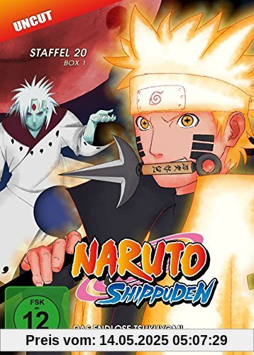 Naruto Shippuden - Das endlose Tsukuyomi - Die Beschwörung - Staffel 20.1: Folgen 634-641 [2 DVDs] von Hayato Date