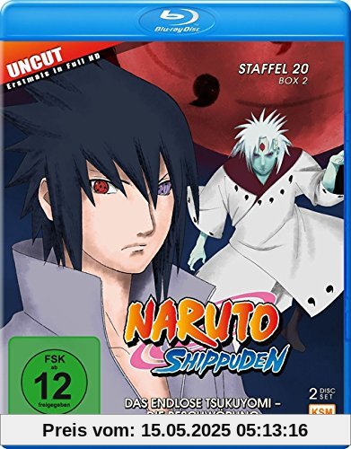 Naruto Shippuden - Das endlose Tsukuyomi - Die Beschwörung - Staffel 20.2: Folgen 642-651 [Blu-ray] von Hayato Date