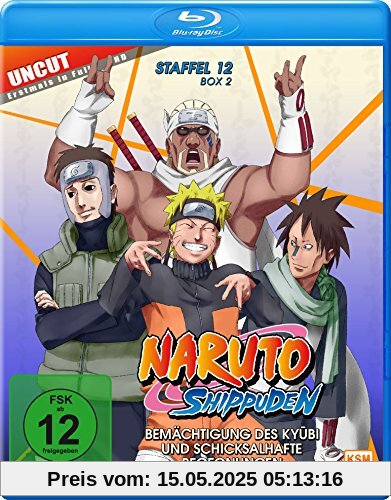 Naruto Shippuden - Staffel 12, Box 2 (481-495, 15 Folgen) (2-Disc-Set) (Blu-ray) von Hayato Date