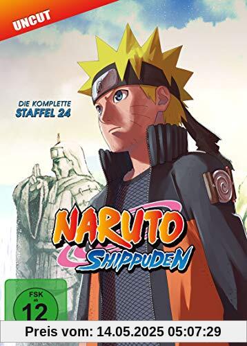 Naruto Shippuden - Staffel 24: Sasuke und Naruto (Folgen 690-699) [2 DVDs] von Hayato Date