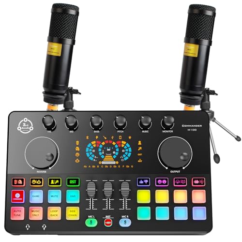 2 Personen Podcast Equipment Bundle, Audio Interface mit 2 dynamischen Mikrofonen für Live Streaming von Hayner-Seek