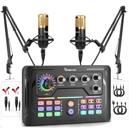 Podcast Equipment Bundle for 2, Audio Interface with Voice Changer Plus Condenser Microphones for Live Streaming, DJ Mixer Perfect for Podcast Recording, Gaming, Singing, YouTube Podcast Equipment Bundle for 2, Audio Interface with Voice Changer Plus Condenser Microphones for Live Streaming, DJ Mixer Perfect for Podcast Recording, Gaming, Singing, YouTube von Hayner-Seek