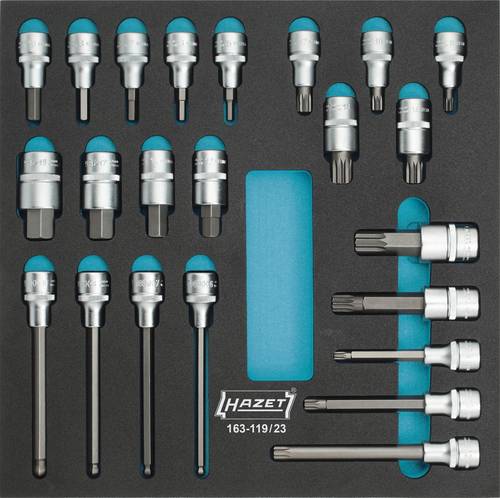 Hazet Steckschlüssel-Bit-Einsatz-Set 1/2  (12.5 mm) 23teilig 163-119/23 von Hazet