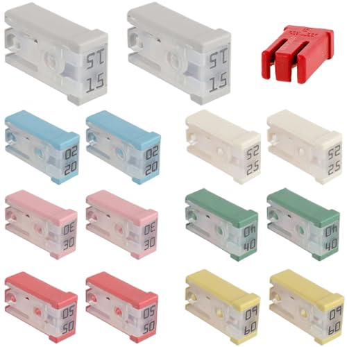 14pcs Auto -Sicherungen Sortiment Kit 32V 15A/20A/25A/30A/40A/50A/60A Automobilblatt Sicherungskit für Auto, Boot, Wohnmobil, Golfwagen, Van, Ersatzsicherungen mit Kasten 14pcs Auto -Sicherungen Sortiment Kit 32V 15A/20A/25A/30A/40A/50A/60A Automobilblatt Sicherungskit für Auto, Boot, Wohnmobil, Golfwagen, Van, Ersatzsicherungen mit Kasten von Hbbgdiy