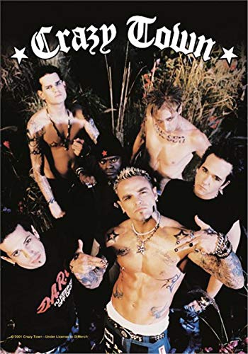 Heart Rock Bandiera Originale Crazy Town - Band Tessuto, Multicolore, 110x75x0.1 cm von Heart Rock