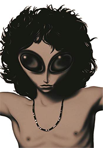 Heart Rock Bandiera Originale Jim Morrison - Alien Tessuto, Multicolore, 110x75x0.1 cm von Heart Rock